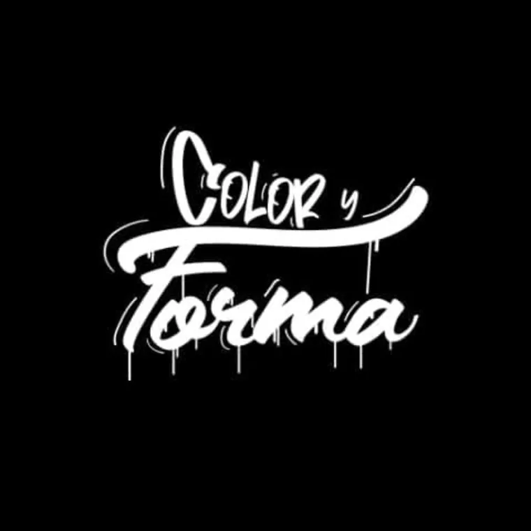 Logo Color y Forma